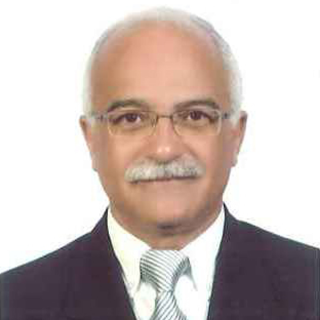 Prof. Hatem Abou El Abbass Ghonim