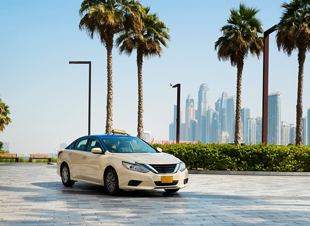Shuttles & taxis