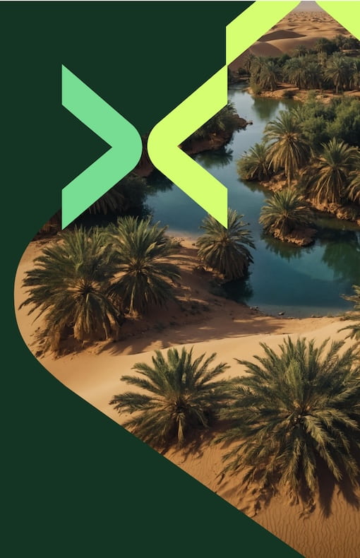 Oasis in a desert