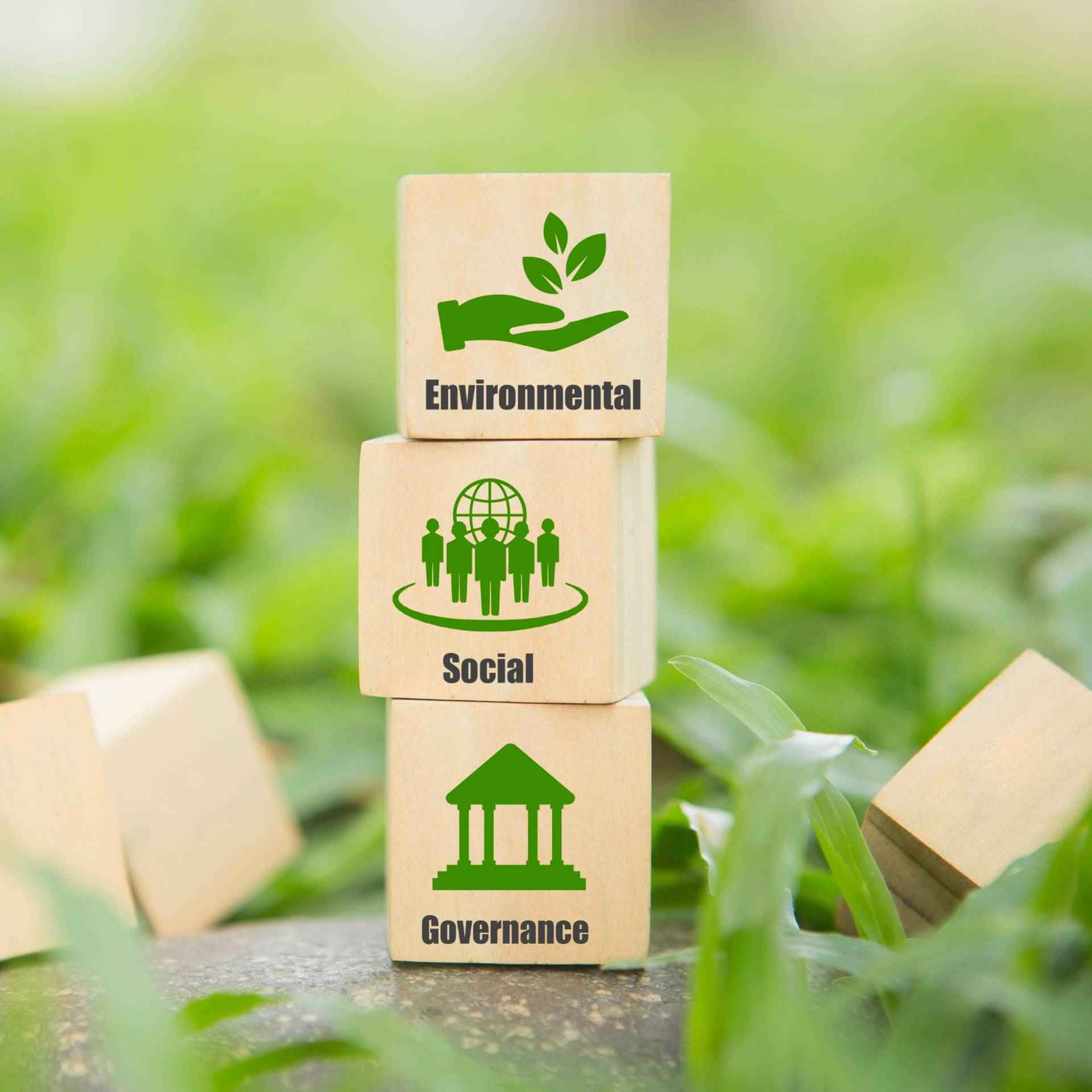 Wooden blocks with ESG symbols