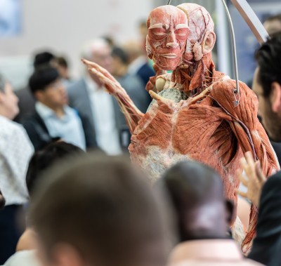 Plastinated body on display at WHX Dubai