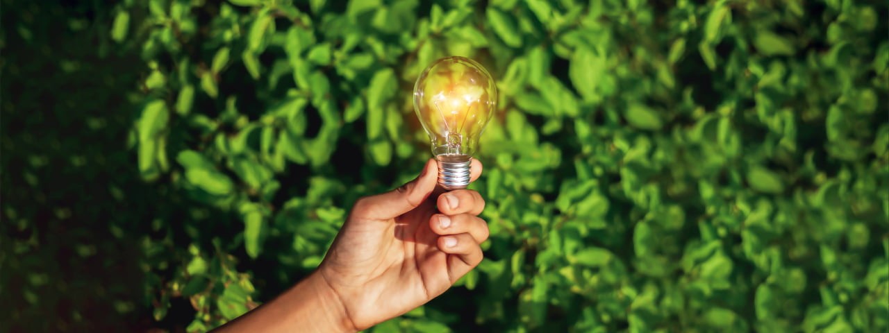 Hand holding a lightbulb