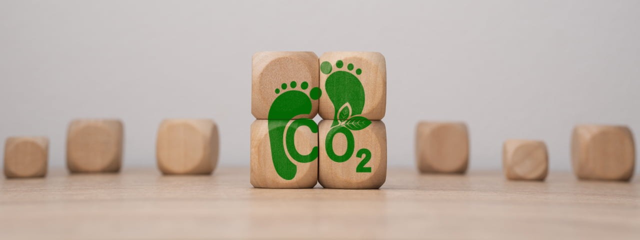 Wooden dice with green footprints